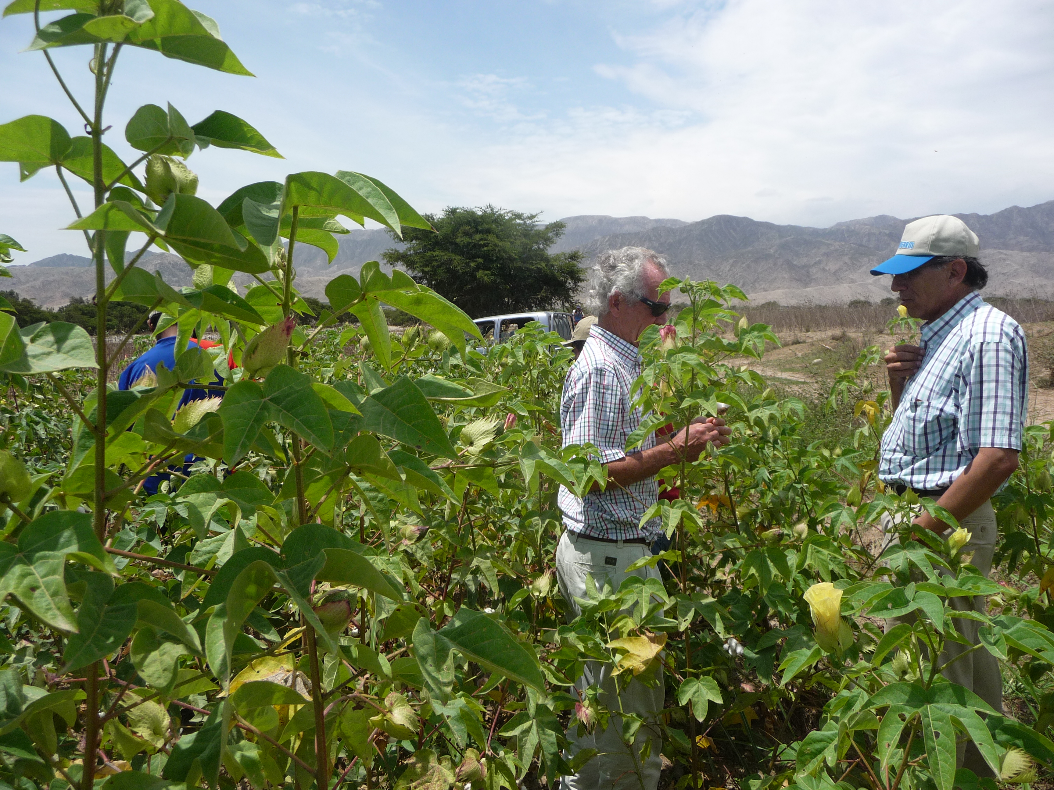 With Víctor Pérez, Oro Blanco, Chincha, Peru 2009 