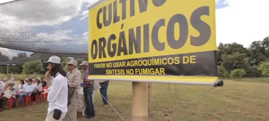 Vititing Audience at Día de Campo (field day), Espinal, Colombia 2015 