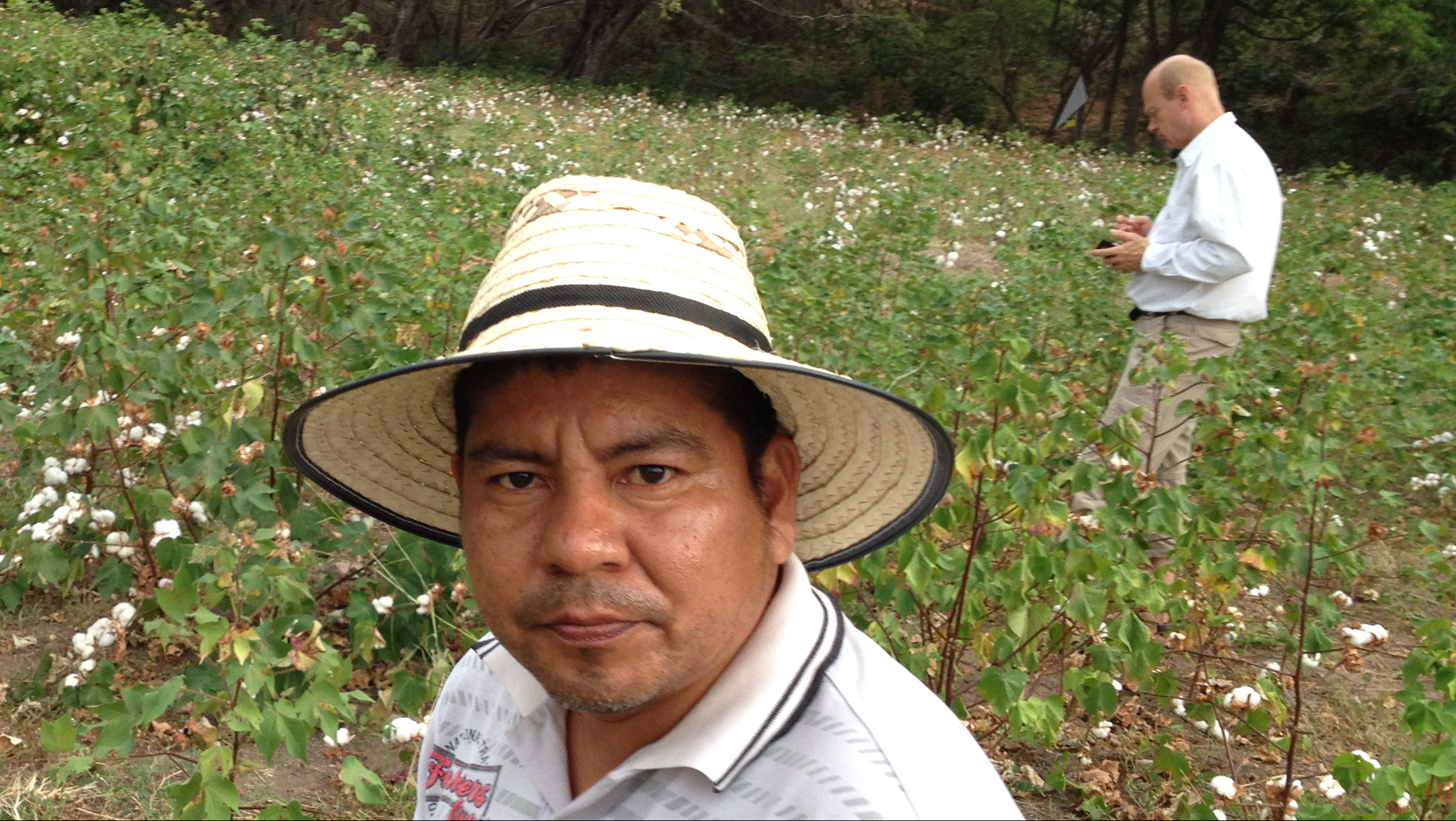 Inspecting organic cotton field, Natagaima, Colombia 2015