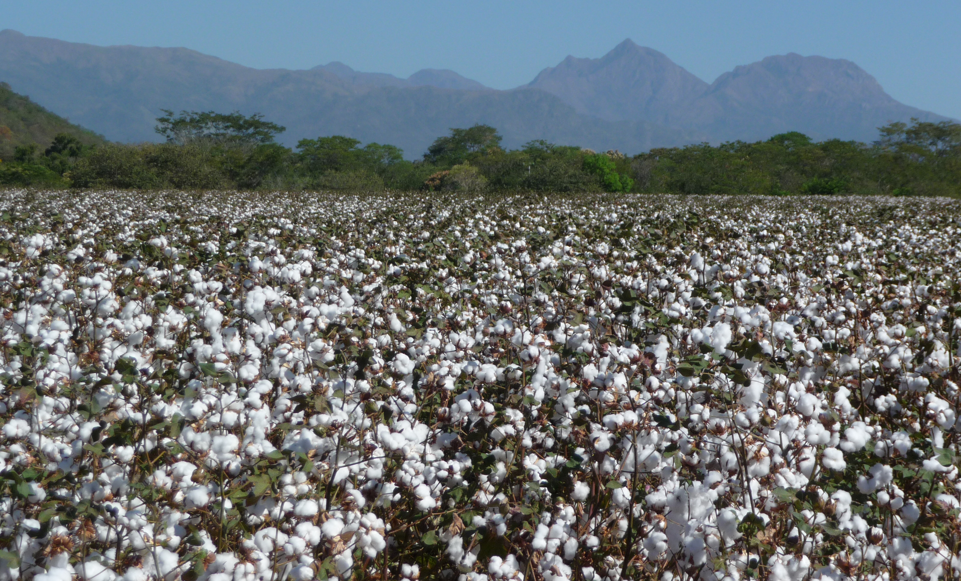 Valledupar, Colombia 2012