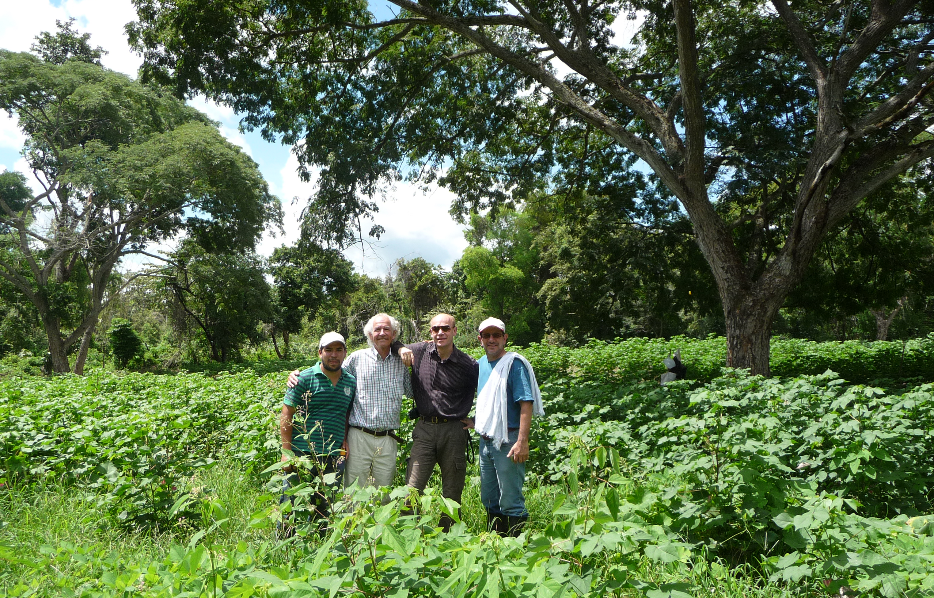 Visiting PTP organic cotton cropping tests with Jens Soth, Helvetas, Alvarado, Colombia 2013 