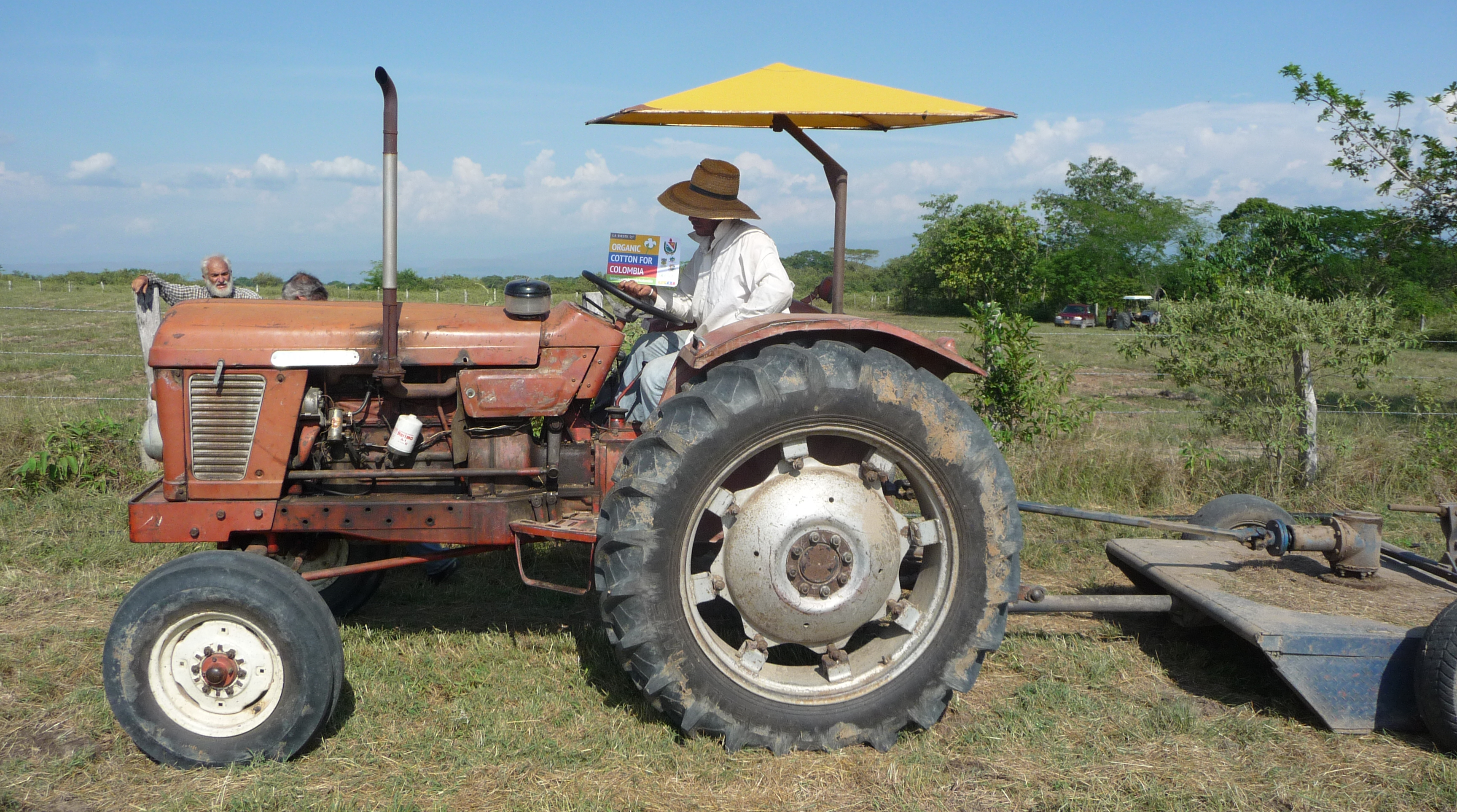  Weeding at PLAOC organic cotton project, El Guamo, Colombia 2015