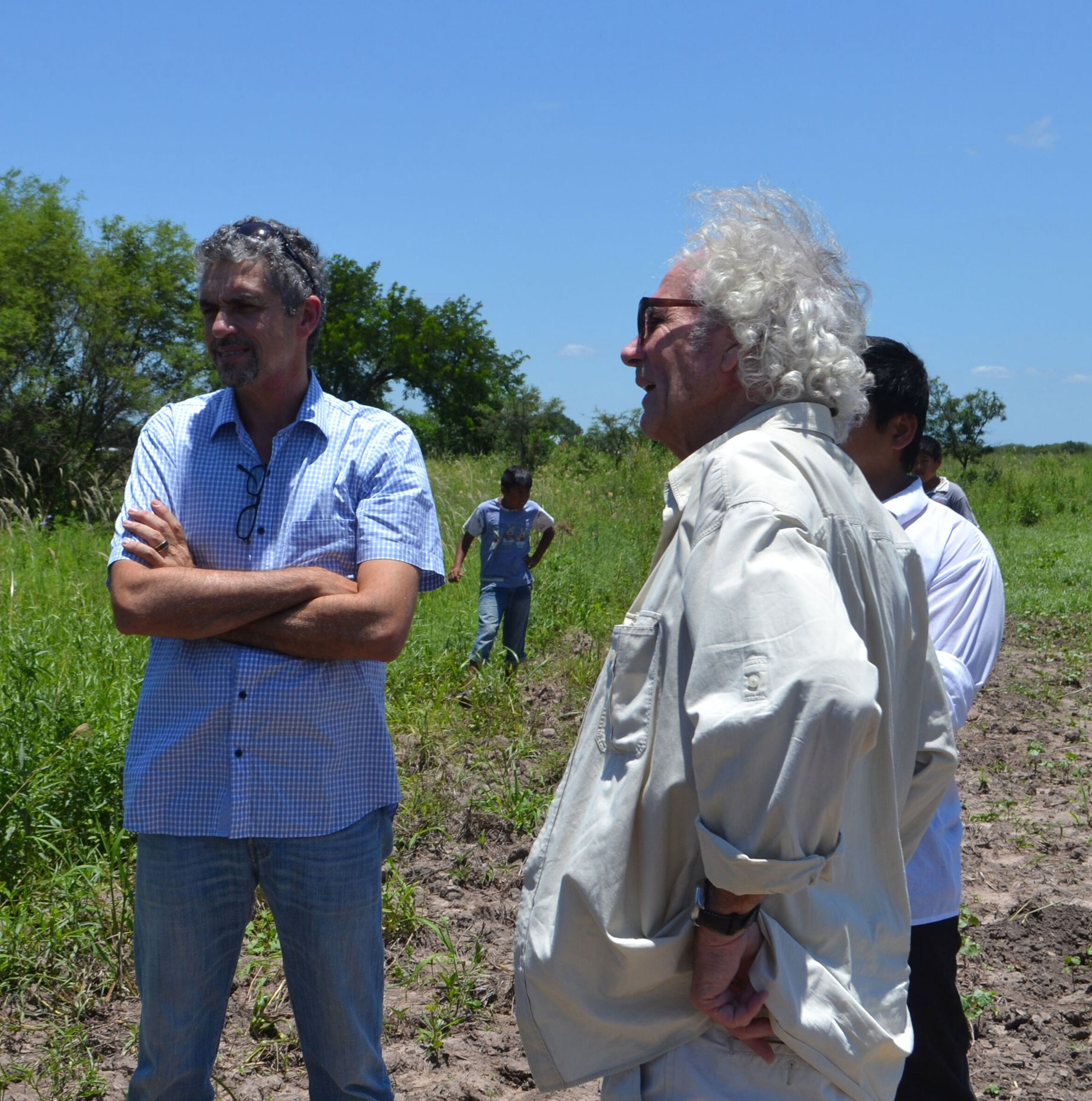 Primeras plántulas de algodón biodinámico en la comunidad Qom, Campo Medina, Chaco, Argentina, 2016 