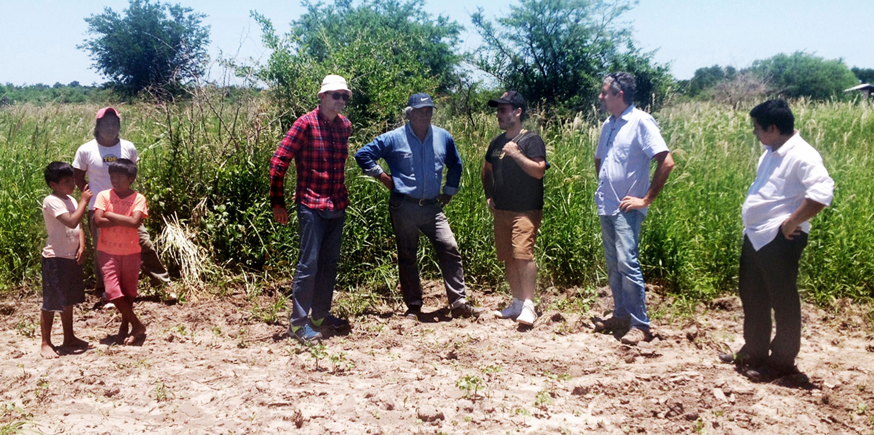 Primeras plántulas de algodón biodinámico, proyecto de Stay True en Qom, Campo Medina, Chaco, Argentina, 2016 